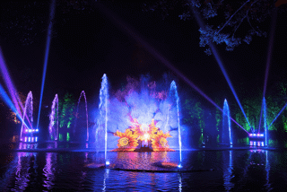 Flower scene in the lake show