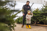 dad and daughter choosing a christmas tree
