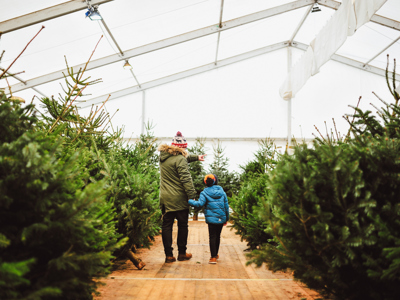 Christmas Tree Shopping Dad And Son walking