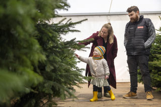 family choosing a christmas tree